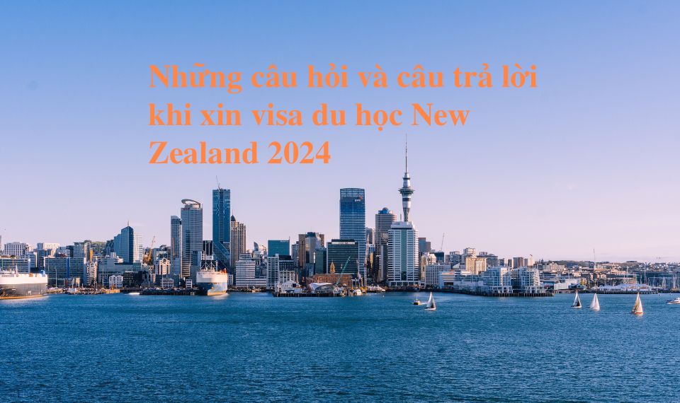 Những câu hỏi và câu trả lời khi du học New Zealand 2024